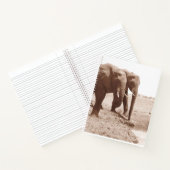 2象スパイラルノートブックカレッジルール ノートブック (内部)