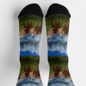 2象油絵を描クルーソックス ソックス (上部)