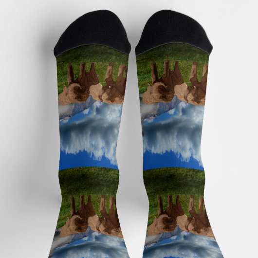 2象油絵を描クルーソックス ソックス (上部)