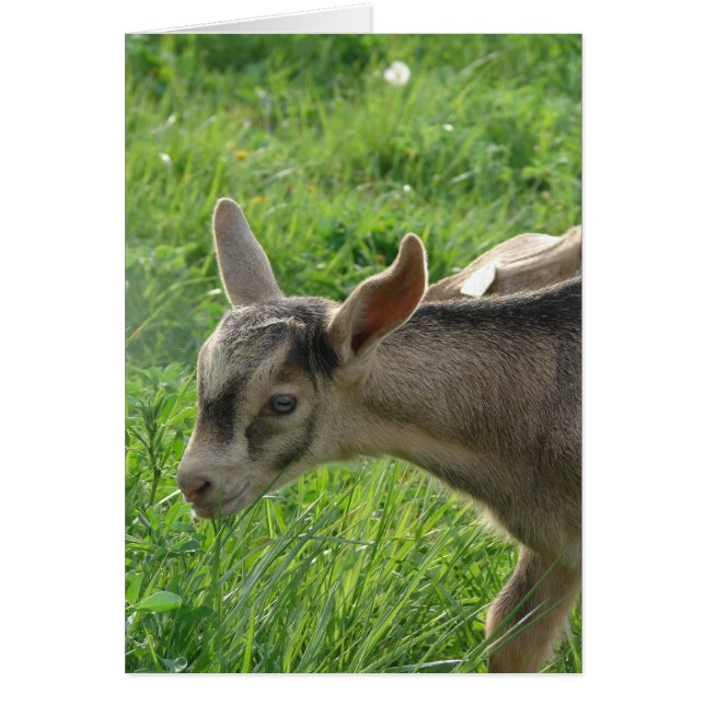 2週間経った時に雷が鳴る (正面)