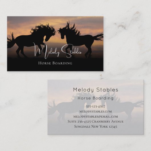 2野生の馬シルエット写真 名刺 (正面/裏面)