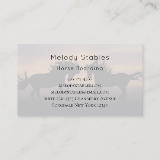 2野生の馬シルエット写真 名刺 (裏面)