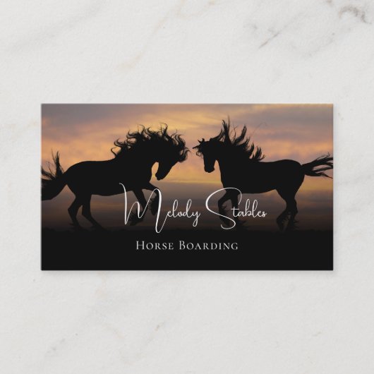 2野生の馬シルエット写真 名刺 (正面)