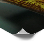 2金ゴールドダストデイゲッコスフェルマラティカウダ ポスター (角)