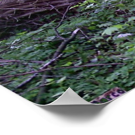 2階の朝 ポスター (角)