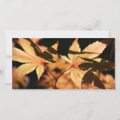 2離れ悔やみや弔慰Thank You サンキューカード (裏面)