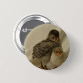 2青/グレーチックス 缶バッジ (正面&裏面)