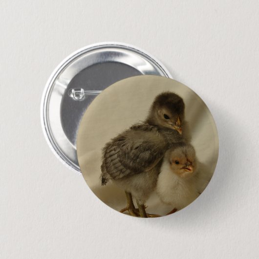 2青/グレーチックス 缶バッジ (正面&裏面)