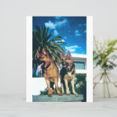 2面ドイツ羊飼いグループスクラップブック (スタンド正面)