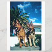 2面ドイツ羊飼いグループスクラップブック (正面)