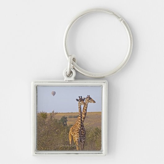 2頭のキリン(Giraffaのcamelopardalis)、マサイ語 キーホルダー (正面)