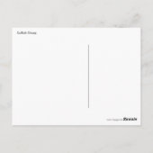 2頭のサフォークのヒツジの午後の日光 ポストカード (裏面)