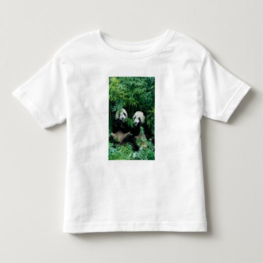 2頭のジャイアントパンダが竹を食べる、臥龍 トドラーTシャツ (正面)