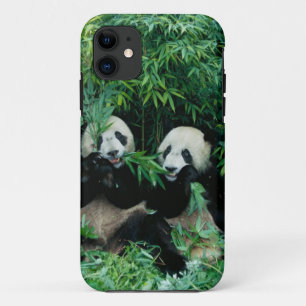 2頭のジャイアントパンダが竹を食べる、臥龍 iPhone 11 ケース