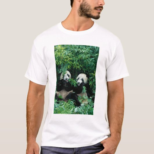 2頭のジャイアントパンダが竹を食べる、臥龍 Tシャツ (正面)
