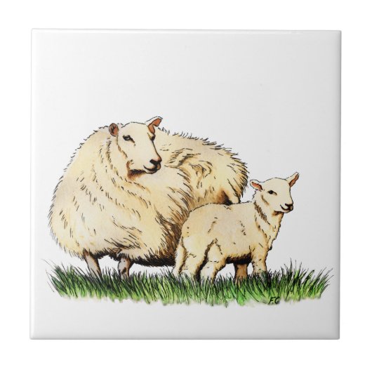 2頭のヒツジ動物のタイル タイル (正面)