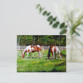 2頭のペイントホースが草を食む ポストカード (スタンド正面)