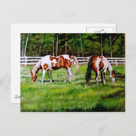 2頭のペイントホースが草を食む ポストカード (正面/裏面)