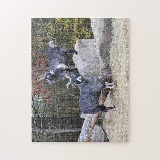 2頭のヤギ ジグソーパズル (縦)