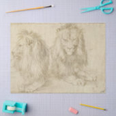 2頭のライオン（野生動物） （アルブレヒト公爵） 薄葉紙 (クラフト)