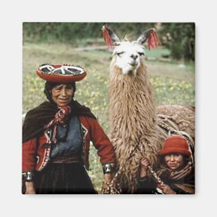 2頭のラマの写真を持つQuechua女性 マグネット