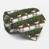 2頭のロッキー山脈のオオシカ ネクタイ (ロール)