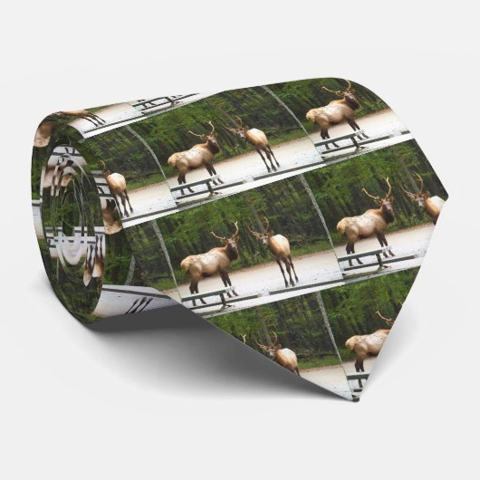 2頭のロッキー山脈のオオシカ ネクタイ (ロール)