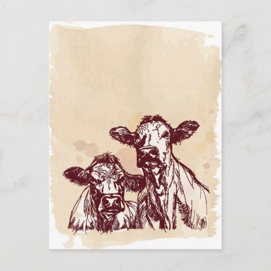 2頭の牛の手描きスケッチと水色ヴィンテージ ポストカード (正面)
