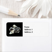 2頭の牧羊犬 ラベル (インサイチュ)