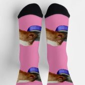 2頭の茶色と白のモルモット飲み込み、靴下 ソックス (上部)