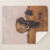 2頭の象の歩く、草に覆われた地面 シェルパブランケット (正面(横))