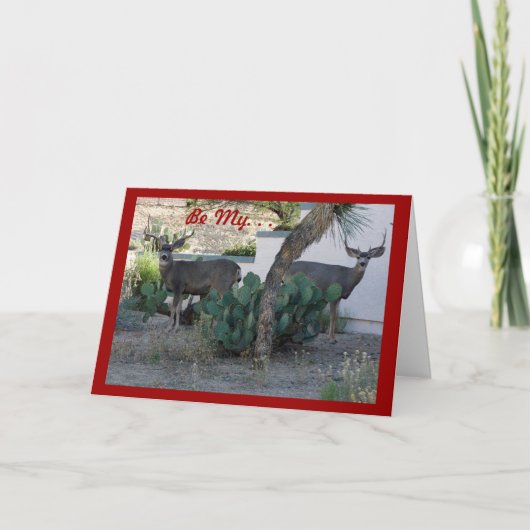 2頭の雄鹿のバレンタインカード シーズンカード (正面)