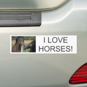 2頭の馬がフェンスの柱を噛む バンパーステッカー (車上)