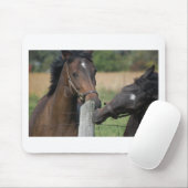 2頭の馬がフェンスの柱を噛む マウスパッド (マウス)
