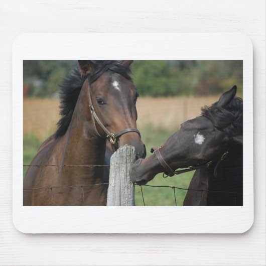 2頭の馬がフェンスの柱を噛む マウスパッド (正面)