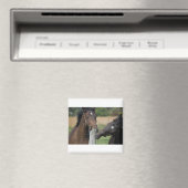 2頭の馬がフェンスの柱を噛む マグネット (インサイチュ (食洗機))