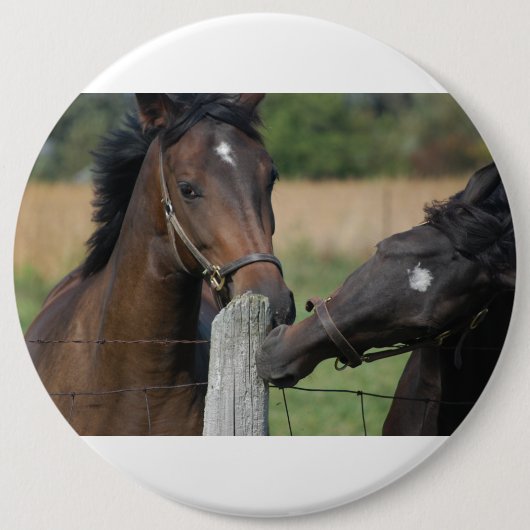 2頭の馬がフェンスの柱を噛む 缶バッジ (正面)