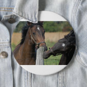 2頭の馬がフェンスの柱を噛む 缶バッジ (インサイチュ)