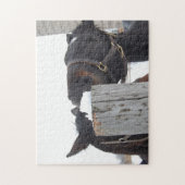 2頭の馬が柵の上で噛む ジグソーパズル (縦)