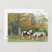 2頭の馬とジプシーのワゴン – はがき (正面/裏面)