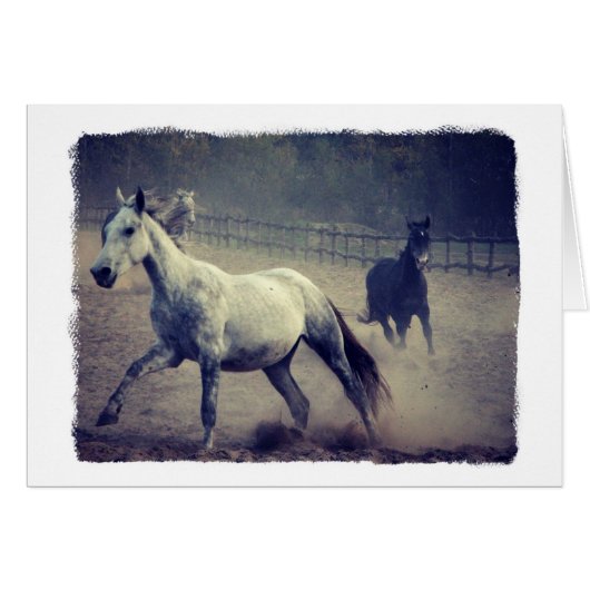 2頭の馬のすべての行事グリーティングカード (正面横)