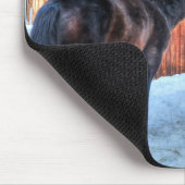 2頭の馬の遊びおもしろい撮ウマ科の影 マウスパッド (コーナー)