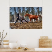 2頭の馬の遊び馬の牧場の写真ウマ科の ポスター (キッチン)