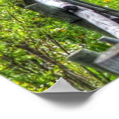 2頭の馬の遊び馬の牧場の写真ウマ科の ポスター (角)