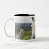 2頭の馬はの圃場の近い塀を立てます ツートーンマグカップ (左)