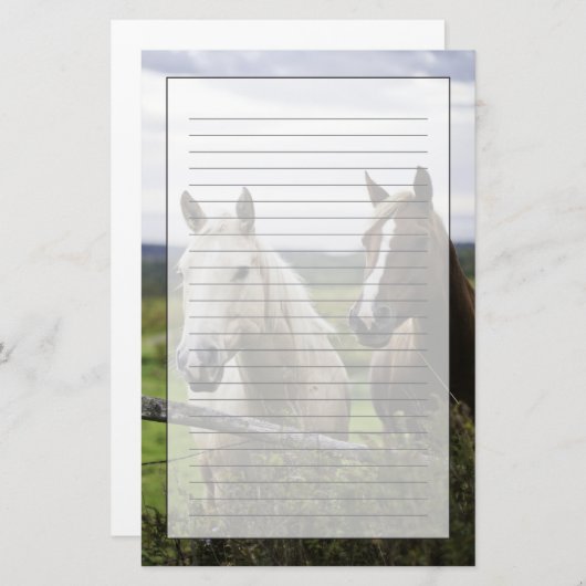 2頭の馬はの圃場の近い塀を立てます 便箋 (正面/裏面)