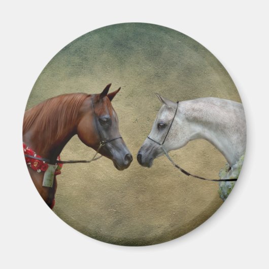 2頭の馬絵画を超える。 マグネット (正面)