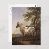 2頭の馬 ポストカード (正面/裏面)