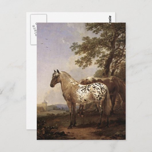2頭の馬 ポストカード (正面/裏面)