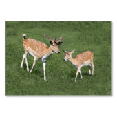 2頭の鹿 テーブルナンバー (正面)